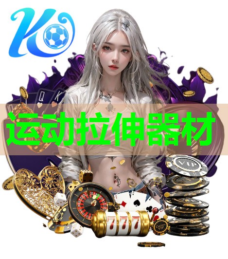 运动拉伸器材 运动拉伸器材