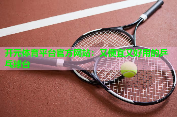 又便宜又好用的乒乓球台 又便宜又好用的乒乓球台