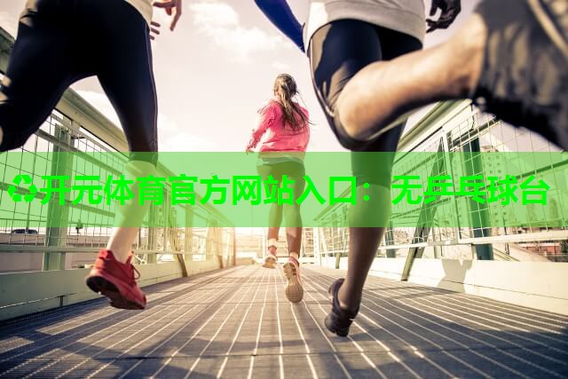 无乒乓球台 无乒乓球台