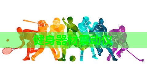 健身器材震动仪