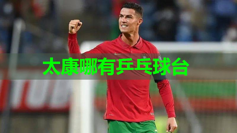 太康哪有乒乓球台 太康哪有乒乓球台