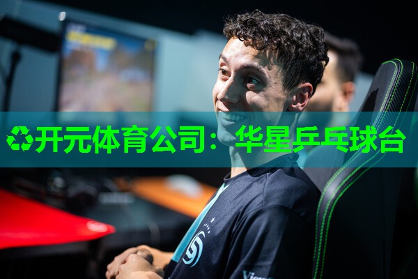 华星乒乓球台 华星乒乓球台