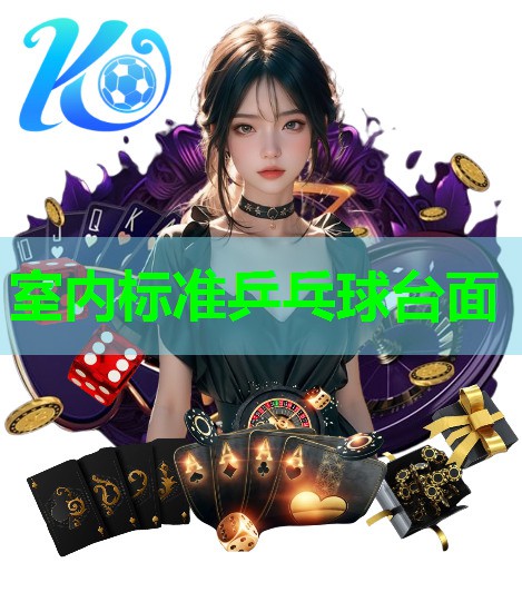 室内标准乒乓球台面