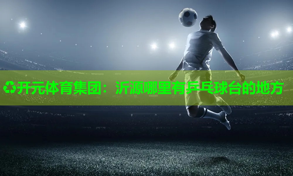 沂源哪里有乒乓球台的地方