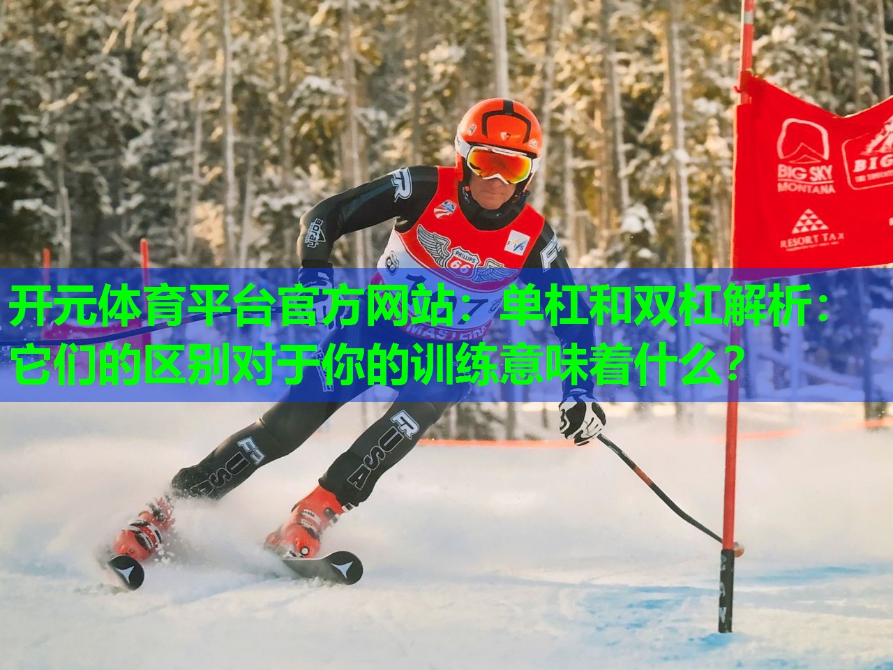 单杠和双杠解析:它们的区别对于你的训练意味着什么? 单杠和双杠解析:它们的区别对于你的训练意味着什么?
