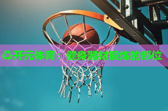 健身器材锻炼的部位 健身器材锻炼的部位