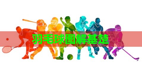 羽毛球图解基楚