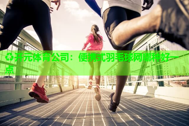 便携式羽毛球网哪种好一点
