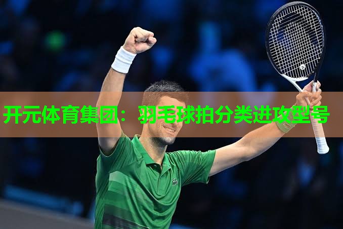 羽毛球拍分类进攻型号