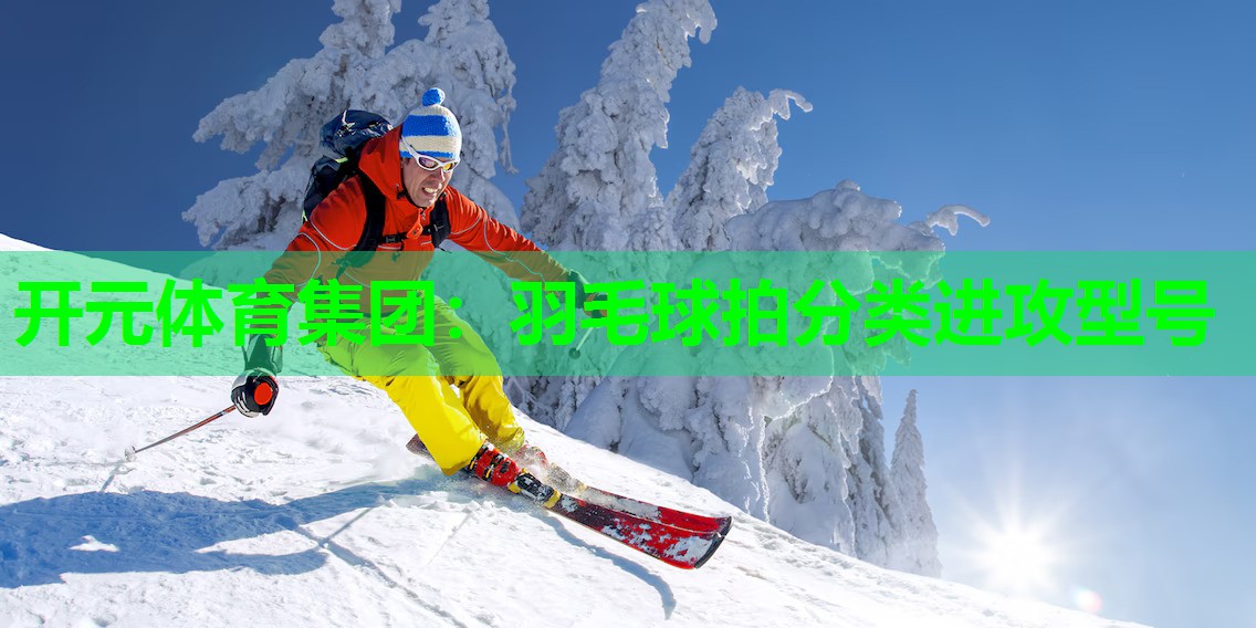 羽毛球拍分类进攻型号