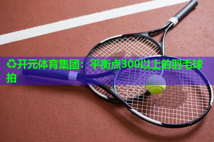 平衡点300以上的羽毛球拍