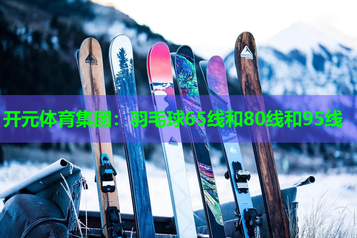 羽毛球65线和80线和95线