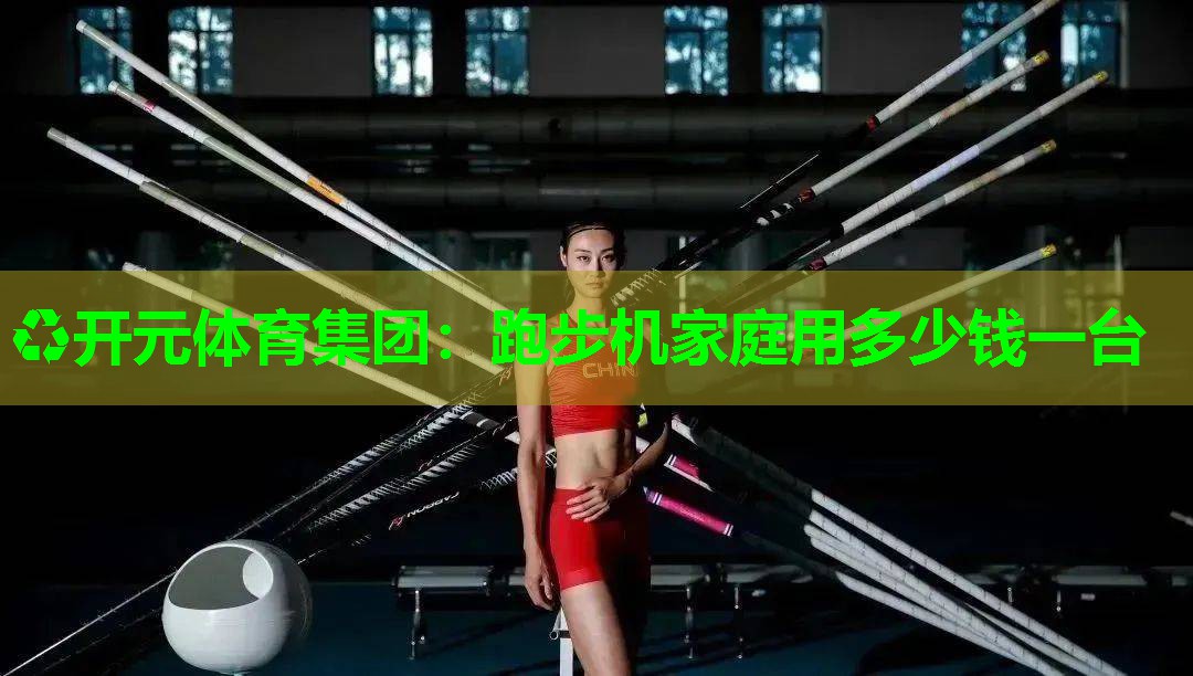 跑步机家庭用多少钱一台
