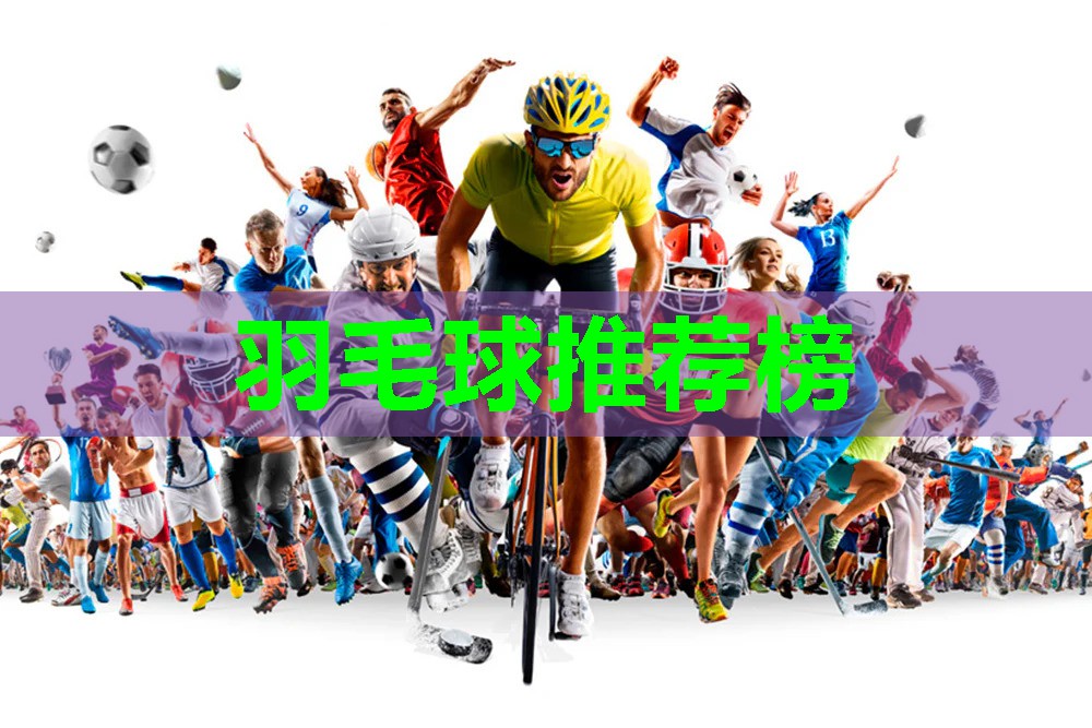 羽毛球推荐榜