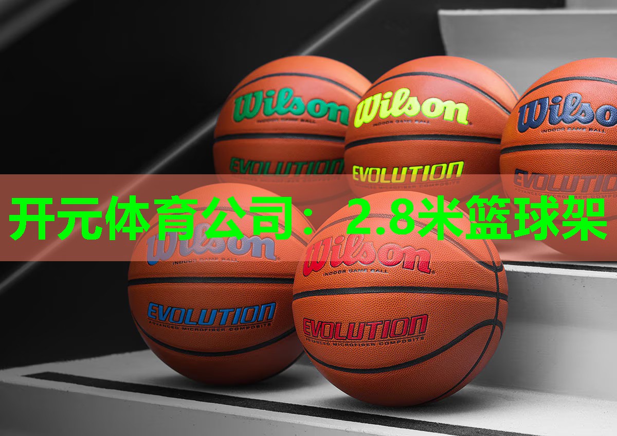 2.8米篮球架