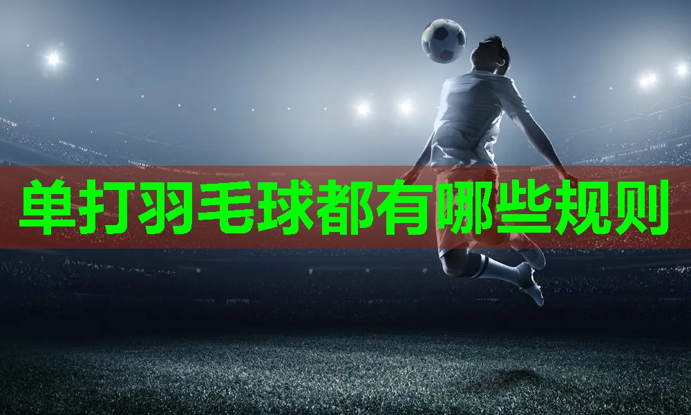 单打羽毛球都有哪些规则