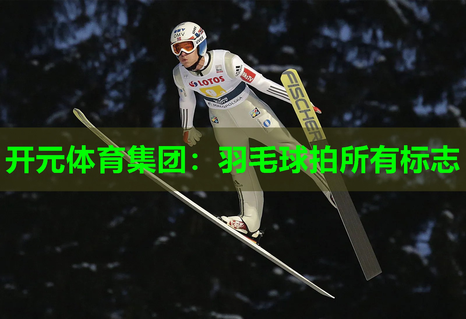 羽毛球拍所有标志