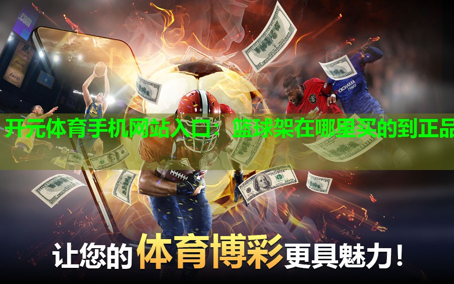 篮球架在哪里买的到正品